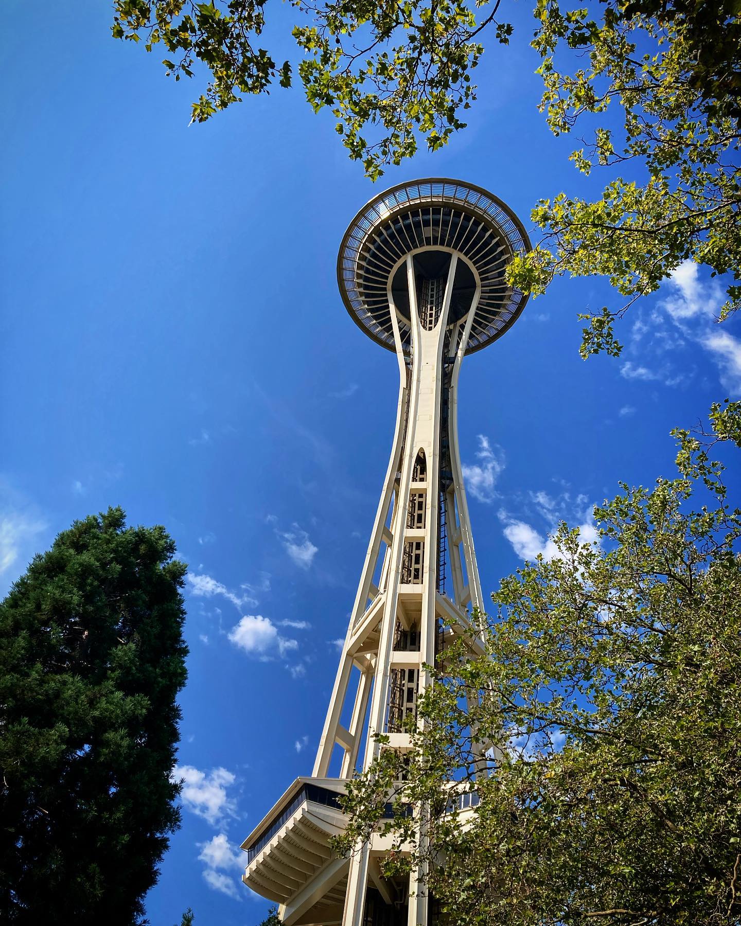 Spartan race in the morning!
_________________
#seattletourist #spaceneedle #cellphotography #idontlivehere