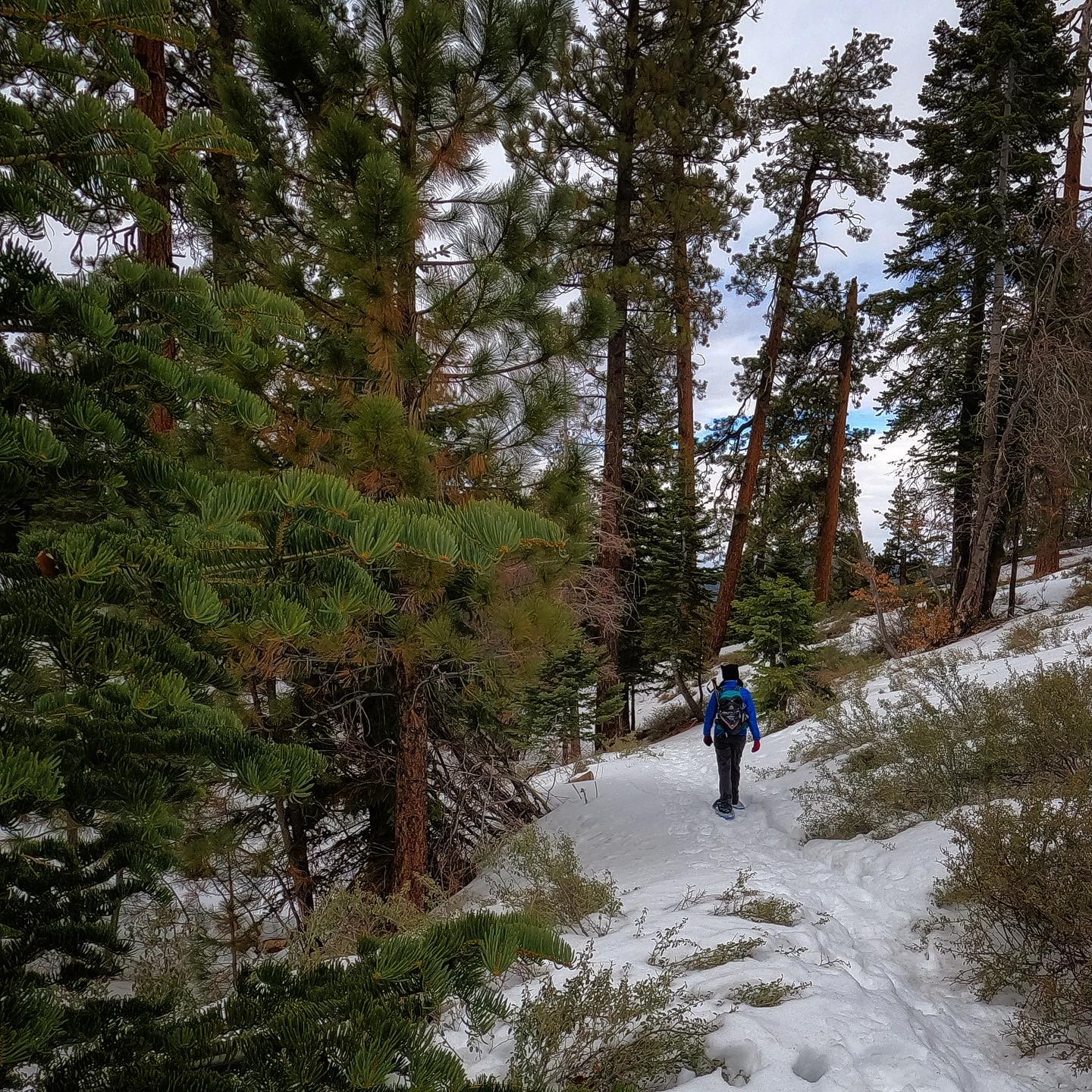 Day trip to Big Bear. We heard there were snowshoe opportunities. 
________________
#bigbear #goprohero9 #snowshoeing